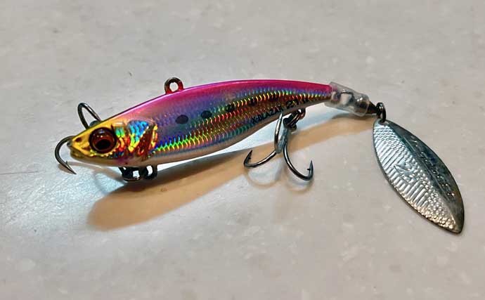 極寒の真冬の夜でもクロダイが連発！　温排水エリアをルアーで狙い撃ち