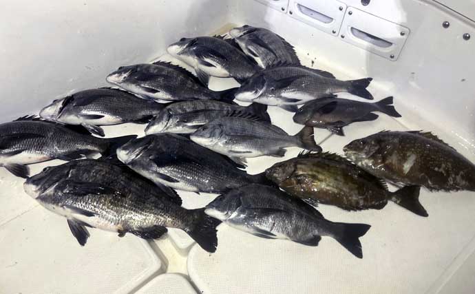 極寒の真冬の夜でもクロダイが連発！　温排水エリアをルアーで狙い撃ち