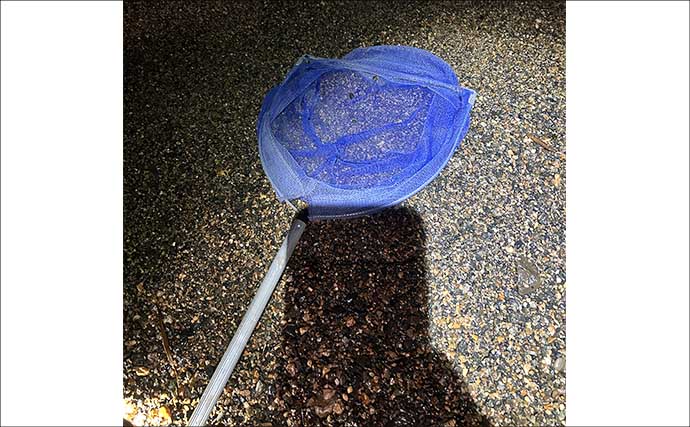 冬の風物詩「琵琶湖ワカサギすくい」に挑戦！　100匹超えの結果に満足