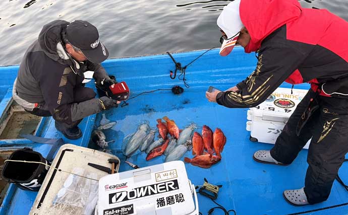 真冬のボート釣りでアオリイカとアカハタを好捕【大分】 刺身＆唐揚げに舌鼓！