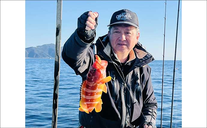 真冬のボート釣りでアオリイカとアカハタを好捕【大分】 刺身＆唐揚げに舌鼓！