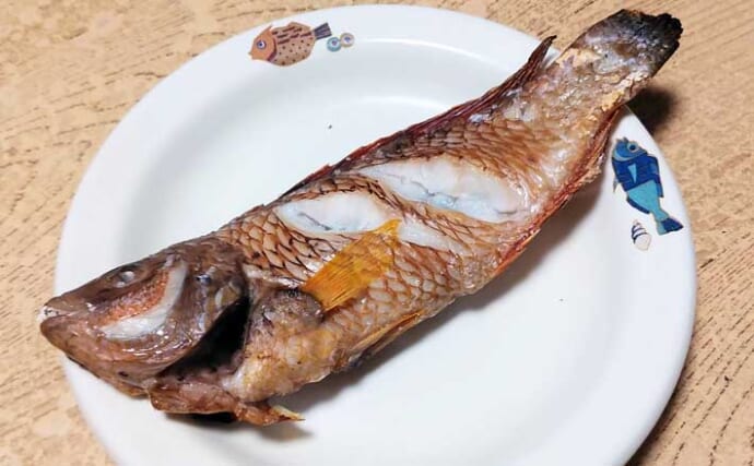 ゲスト魚で作る「自然食」レシピ：ベラのちょい干し　薄塩がポイント