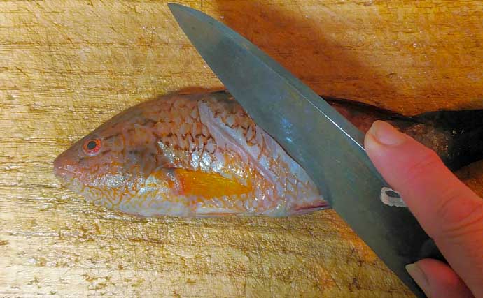 ゲスト魚で作る「自然食」レシピ：ベラのちょい干し　薄塩がポイント