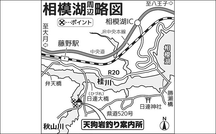「寒風知らずの快適空間」ドーム船で12年ぶりのワカサギ釣り満喫【神奈川・相模湖】