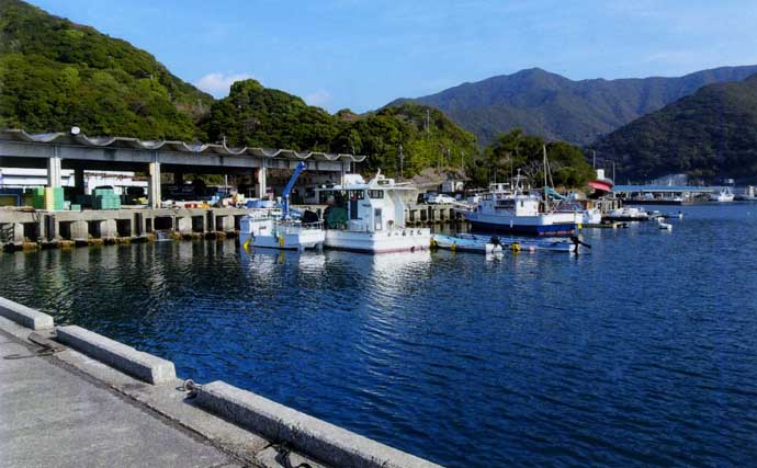 錦漁港の投げサビキ釣りで17cm級主体にアジ29匹好捕【三重】引き潮に苦戦も本命連発