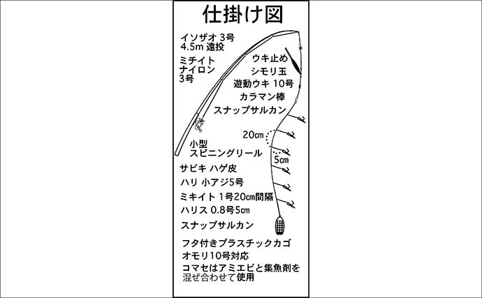 錦漁港の投げサビキ釣りで17cm級主体にアジ29匹好捕【三重】引き潮に苦戦も本命連発