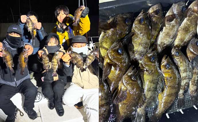 【沖のルアー釣果速報】ナイトロックでメバル数釣りに成功！良型交じりで冬の根魚ゲーム満喫（愛知）