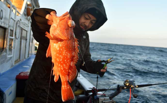 御前崎沖の底物五目釣りで全員安打！【静岡】アマダイ狙いシフトが奏功し好ヒット連発