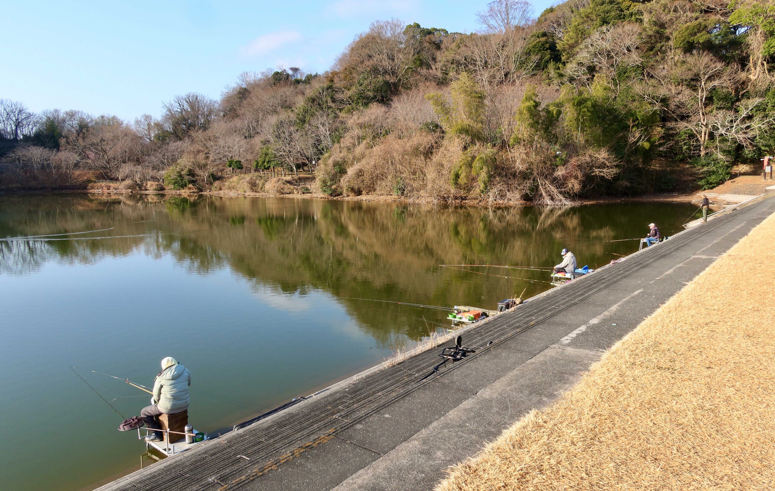 今週のヘラブナ推薦釣り場【静岡県・城池】 | TSURINEWS