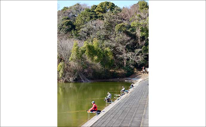 今週のヘラブナ推薦釣り場【静岡県・城池】