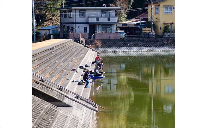 今週のヘラブナ推薦釣り場【静岡県・城池】
