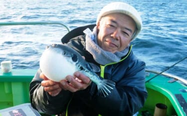 「トラフグ専門船で本命連発！」カットウ釣り初挑戦者もヒットして船中12…