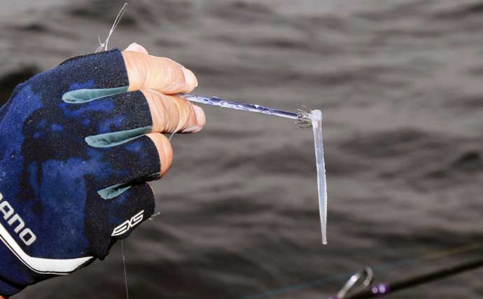 初心者でも分かる船ヤリイカ釣り入門　タックル・仕掛け・誘い方の基本