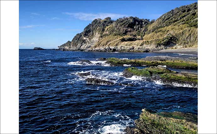 磯フカセ釣りで35cm頭にクロダイ10尾手中【千葉・富浦】好潮流とエサ取りの少なさが追い風