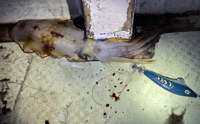 伊是名島で出会った正真正銘の「海人」の話　アオリイカともずくが繋いだ冬の記憶