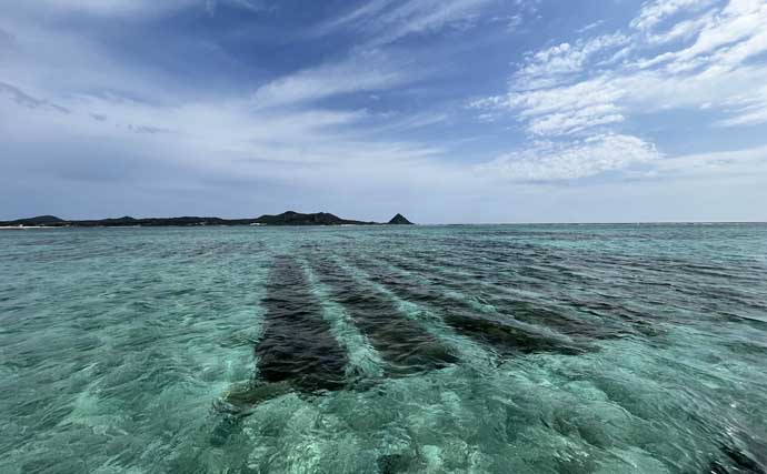 伊是名島で出会った正真正銘の「海人」の話　アオリイカともずくが繋いだ冬の記憶