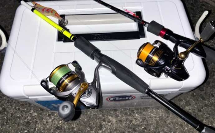 「初のアオリイカ釣るまで10ヶ月！」エギングで釣果を上げるには強い精神力が必要？