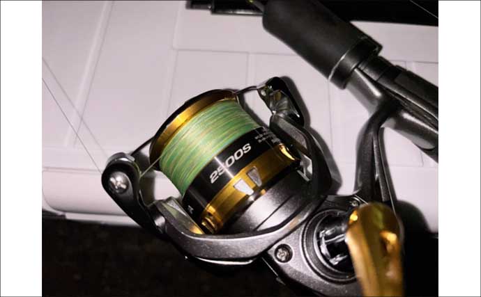 「初のアオリイカ釣るまで10ヶ月！」エギングで釣果を上げるには強い精神力が必要？