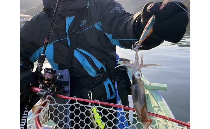 「初のアオリイカ釣るまで10ヶ月！」エギングで釣果を上げるには強い精神力が必要？