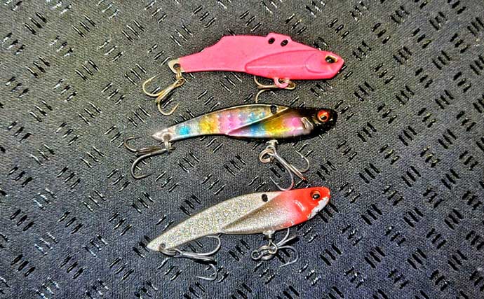 「バチ抜けは確認できず」バイブレーションルアーに60cm級シーバス2連発【千葉】