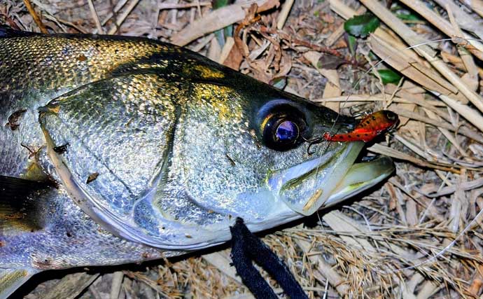 「バチ抜けは確認できず」バイブレーションルアーに60cm級シーバス2連発【千葉】