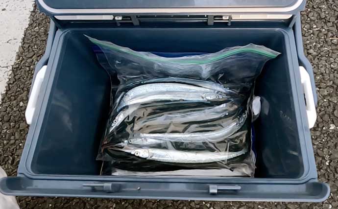 「初心者でも簡単！」　釣った魚を美味しく食べるための持ち帰り方