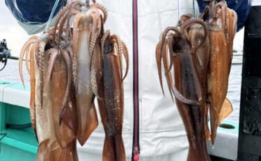 【沖釣り釣果速報】7点掛けも飛び出す好況！スルメイカ多点ヒット連発（北…