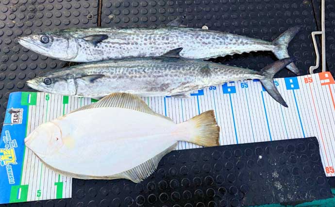 【沖のルアー釣果速報】スルメイカ・アカイカ・ヤリイカの3種好捕！イカメタル夜便が好調（三重）