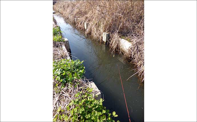 冬でも釣れる！寒ブナ釣りの始め方　ポイント・仕掛け・釣り方を基礎から解説