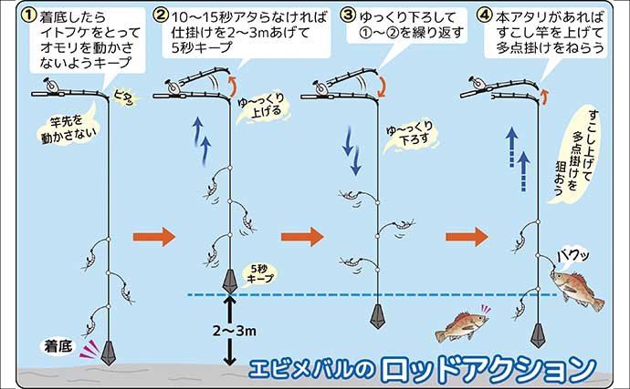春告魚『クロメバル』を狙うエビメバル釣り入門【東京湾】活モエビの付け方と誘い方を解説