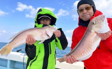 【沖釣り釣果速報】アマダイ便でシロ・アカ本命浮上！良型交え土産充実（大分・熊本）