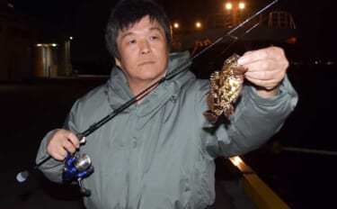 「キャスト不要の壁際攻略術！」冬でも楽しめるカサゴのライトソルトゲーム…