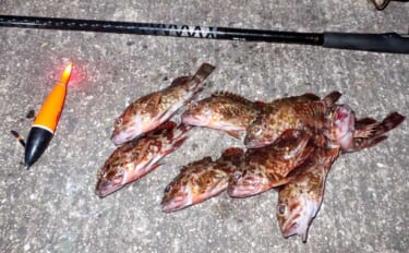 真冬の低活性カサゴは電気ウキ釣りで攻略しよう！ 【タックル・釣り方を解…