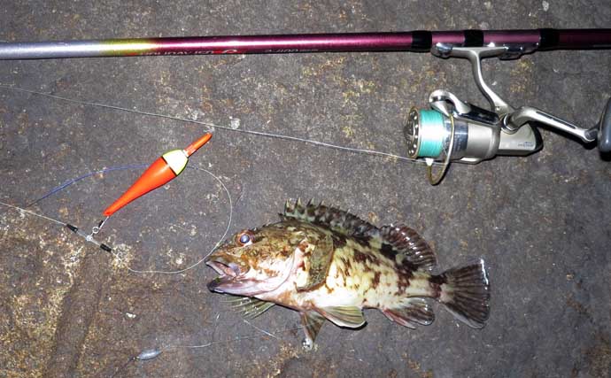 真冬の低活性カサゴは電気ウキ釣りで攻略しよう！ 【タックル・釣り方を解説】