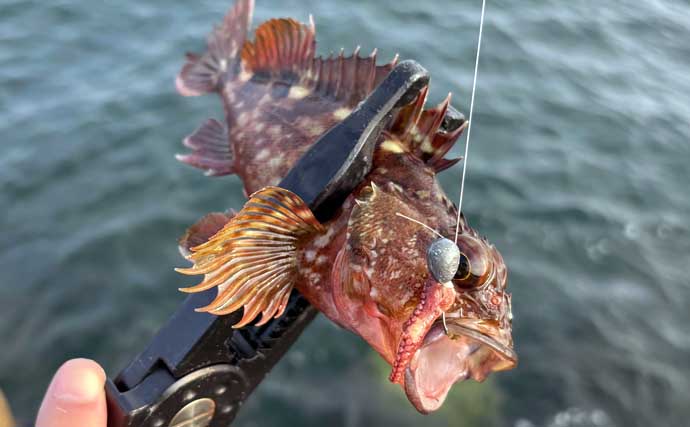 「寒さは判断力と注意力を奪う！」 真冬の釣りが安全に成立する気温は何度まで？