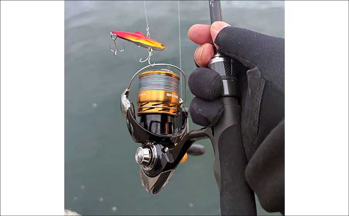 ゼロから始めるチニング 【初心者向けのタックルとルアーを解説】