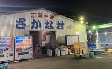 魚を釣りたいなら朝市に行くべし！　冬はターゲット選定が釣果を大きく左右…