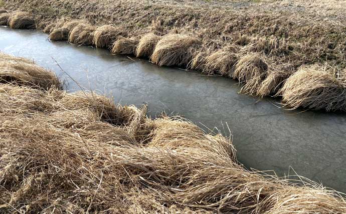 ルアーナマズ釣りで6匹キャッチ！【埼玉】スピナーベイトの微速巻きに好反応