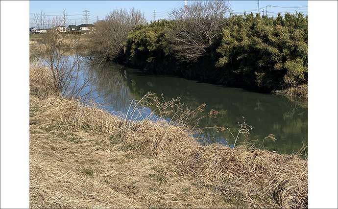 ルアーナマズ釣りで6匹キャッチ！【埼玉】スピナーベイトの微速巻きに好反応