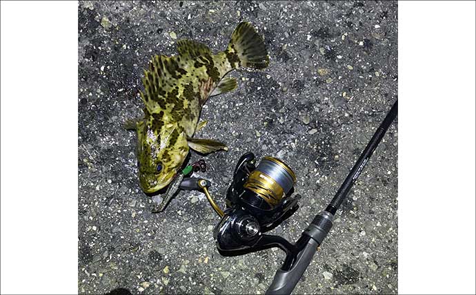 ネット通販で新品リールを買ったら【釣りに行く前に確認すべきこと】