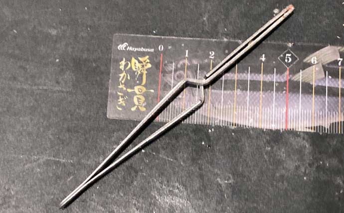 100円均一ショップで買うことができる【ワカサギ釣りの必携小道具4選】