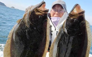 【沖釣り釣果速報】寒ビラメシーズン本格化！泳がせ釣りで座布団サイズ登場…