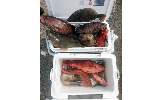 【沖釣り釣果速報】寒ビラメシーズン本格化！泳がせ釣りで座布団サイズ登場（三重）