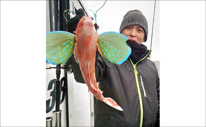 【沖のルアー釣果速報】根魚ボート便でメバルラッシュ！最大24cm頭に連発（愛知）