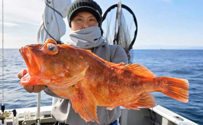 【沖のルアー釣果速報】キャスティングでサワラ80cmオーバー3匹にヒラスズキ76cm好捕！（三重）