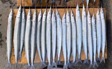 鹿島港魚釣園のサヨリ釣りで50尾キャッチの好釣果Q【茨城】付けエサが釣…