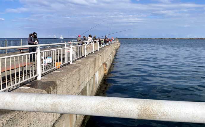 鹿島港魚釣園のサヨリ釣りで50尾キャッチ【茨城】付けエサが釣果の鍵に