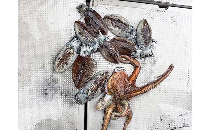 【沖釣り釣果速報】テンヤタチウオでドラゴン級ヒット！渋い中でも良型主体に土産確保（大分）