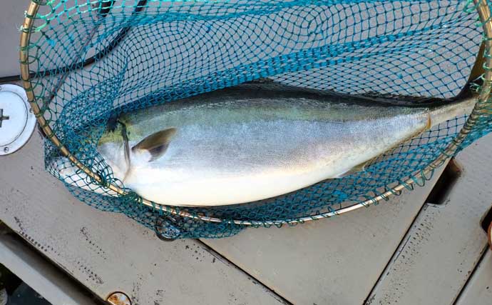 【沖のルアー釣果速報】SLJ＆ブレードジギングで大型アコウ手中！高級根魚が多数ヒット（九州）