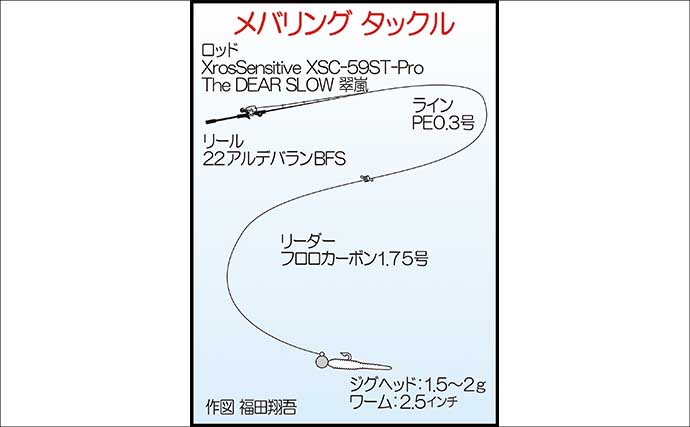 夕マヅメのアジングで27cmマアジ手中！【福岡・新宮町】後半はメバル狙いでアコウがヒット